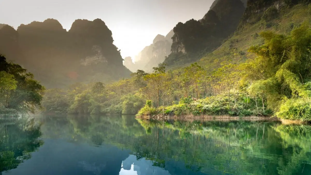 智能独特高性能
